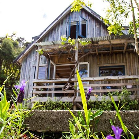 Fern Lodge Coromandel מראה חיצוני תמונה