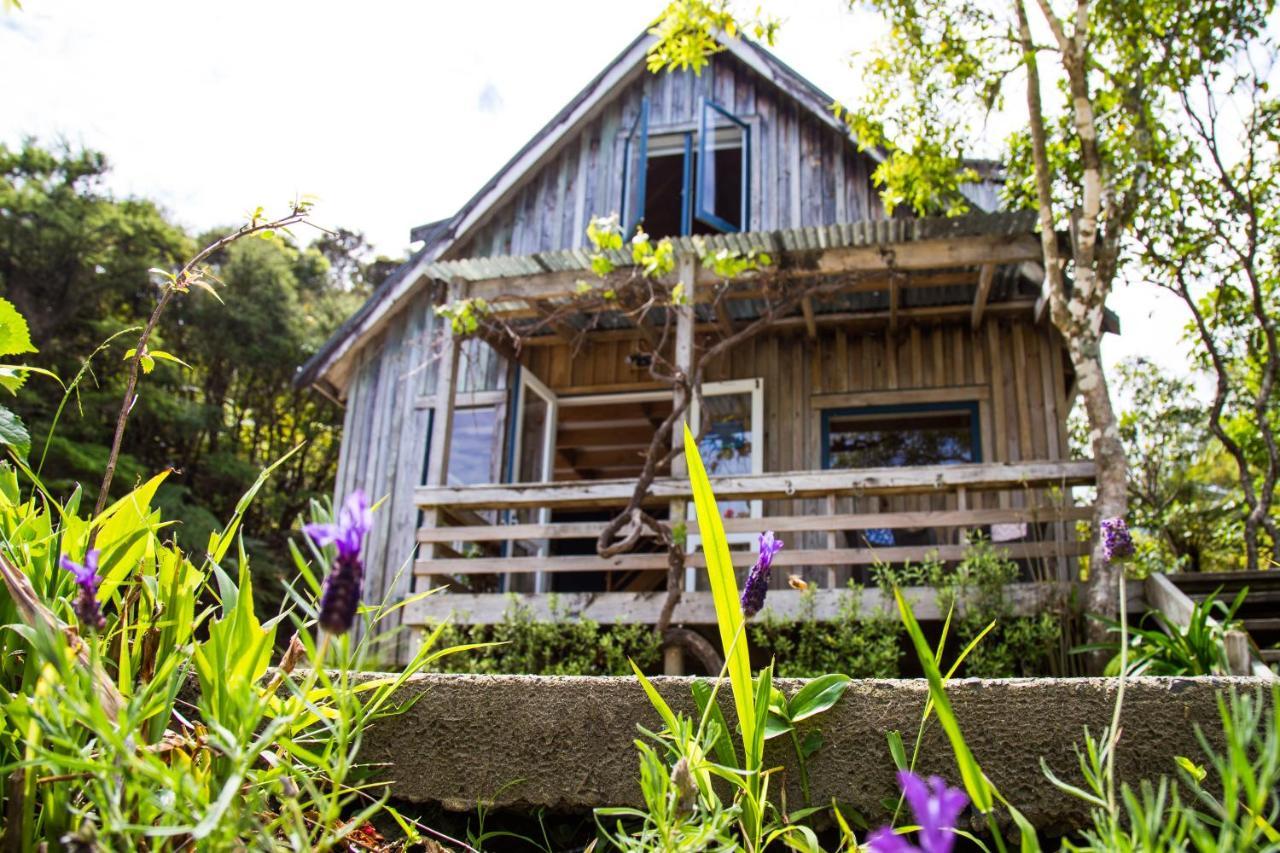 Fern Lodge Coromandel מראה חיצוני תמונה