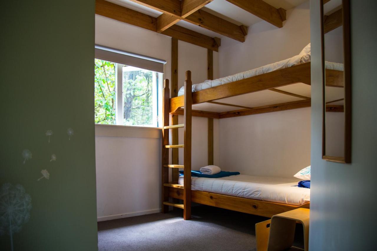 Fern Lodge Coromandel מראה חיצוני תמונה